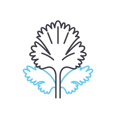 coriander line icon, outline symbol, vector illustration, concept sign
