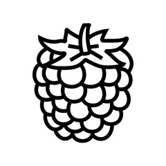 ripe blackberry line icon vector. ripe blackberry sign. isolated contour symbol black illustration