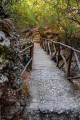 Butterfly valley on Rhodes island, Greece
