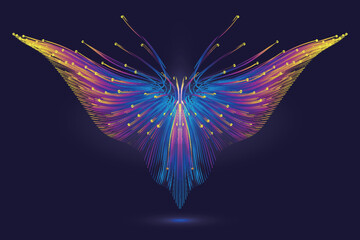 Colorful dotted line abstract flying wings or butterfly abstract graphic