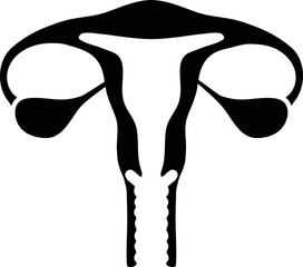 Vector illustration of uterus glyph. Icon in flat style.