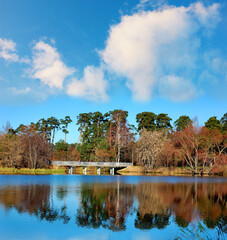 Obraz premium The last warm day of golden autumn, View of the Serebryany Bor Park on a sunny autumn day, the bank of the Moskva River, Moscow, Russia. Forecasters promised a cold snap. 