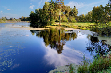 Reflections of nature in the water. View of the lake and forest on a sunny autumn day, the bank of the Moskva River, Moscow region, Russia. Nature is reflected in the water.