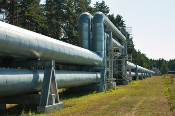pipeline, in the photo pipeline close-up against the background of blue sky and forest