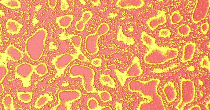 Abstract liquid graphics background.grunge lava psychedelic morphing bubbles, ink transition.3D Slow Motion Colorful Fluid Waves.