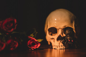 The art photo of anatomy model human skull with rose and flowers for artwork concept.