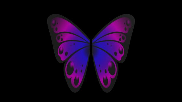 Butterfly wings - 3d render looped with alpha channel.