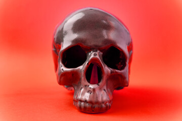 Human skull, creative arrangement against red background. Halloween inspiration.