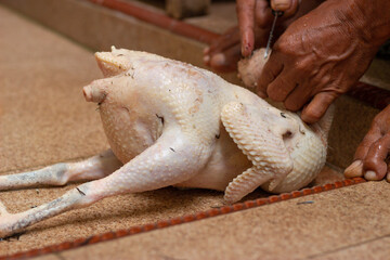 free-range chicken that has been slaughtered and has its feathers removed