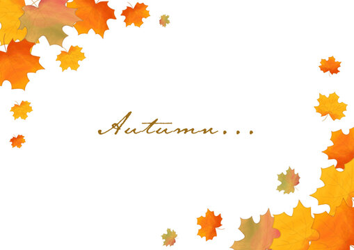 Autumn background with maple watercolor leaves. Maple leaf with watercolor effect, autumn leaves, leaf fall, maple isolated on white background. Vector illustration 
