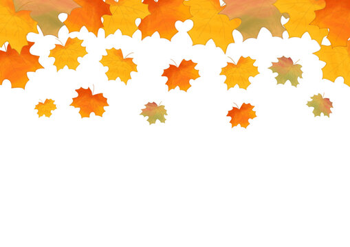 Autumn background with maple watercolor leaves. Maple leaf with watercolor effect, autumn leaves, leaf fall, maple isolated on white background. Vector illustration 