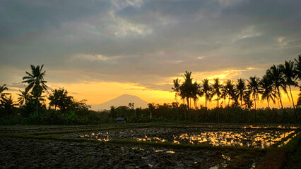 Sunset on a Bali