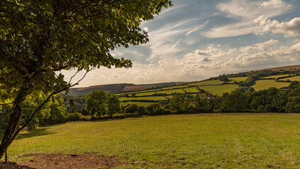 Dartmoor National Park, Devon, England, UK. 2022. Countryside on Dartmoor a few miles north of Cornwood, Devon.