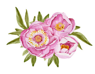 Watercolor bouquet of pink peonies