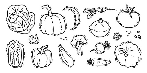 Set of hand drawn vegetables. Sketches of different food. Doodle outline illustrations isolated on white background