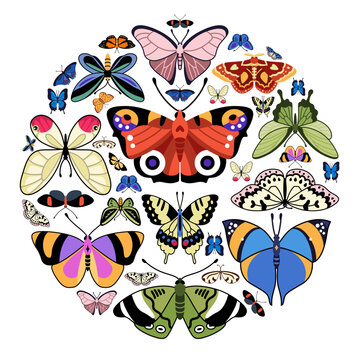 Round composition with beautiful butterflies. Vector print