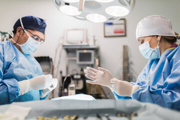 Veterinarians in uniform operating animal