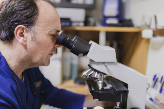 Doctor looking through microscope in laboratory
