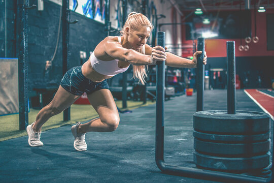 Gym Sled Images Browse 1 714 Stock Photos Vectors and Video Adobe Stock