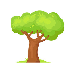 2D tree. Species green forest trees, vector design