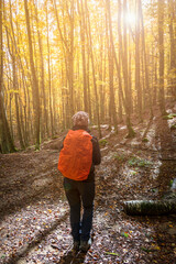 Young woman hiker on a trail during fall foliage with yellow and orange leaves in a forest in autumn. Parco Nazionale delle Foreste Casentinesi, Tuscany, Italy