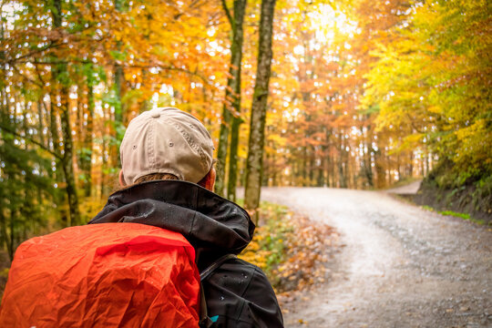 A hiker with a backpack walks through a vibrant autumn forest, with golden leaves and tall trees creating a warm, serene atmosphere. Parco Nazionale delle Foreste Casentinesi, Tuscany, Italy