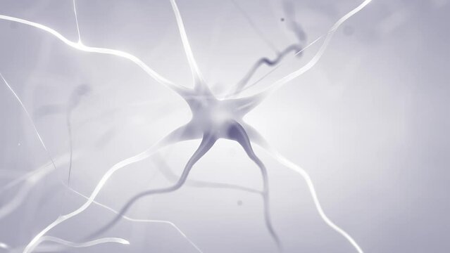 Neuronal firing - neurons communicating via electrical signals. Animation of neurons also known as neurones or nerve cells. The neurons transmit information between different parts of the brain