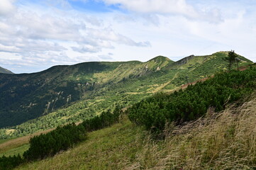 Fototapeta premium landscape with mountains, selective focus, view from Chleb in the Slovakia