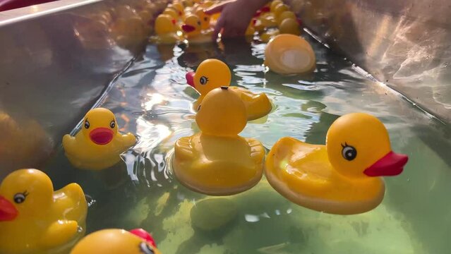 Rubber children ducks swim on the water there are a lot of them they swim one after another each bright yellow with a red beak They follow the flow of water directly to the camera as they swim past