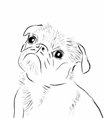 Cute dog drawing line art