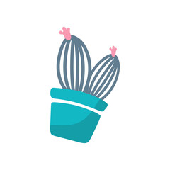 cactus plant transparant