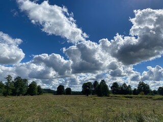clouds over the field