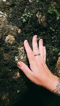 Person touching a rock with moss, Woman toucing rock, rock with moss, mossy rock, Touching a rock with Moss, hand touching a rock full of moss