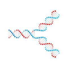 DNA replication. DNA molecules, molecular biology. Vector stock illustration.