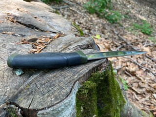 Survival knife on the grass on the cutter tree