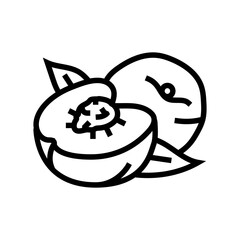 cut nectarine line icon vector. cut nectarine sign. isolated contour symbol black illustration