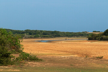 Landscape of Yala National Park, Sri Lanka