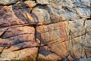 Textured stone. Close up 