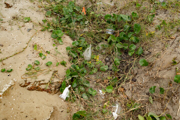 trash on the beach 