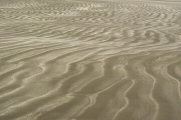 sand texture ripples on the beach