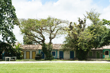 village in tracoso, bahia, brazil with colorful houses and a big tree.