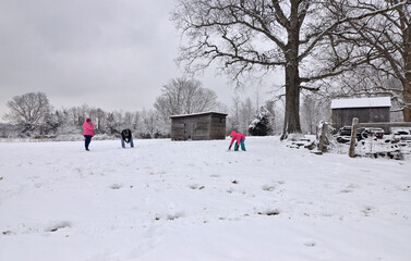 People playing in the snow