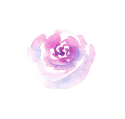 Watercolor rose