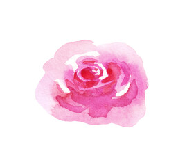 Watercolor rose