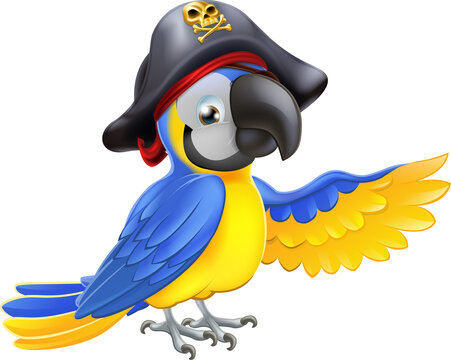 Pirate Parrot Illustration