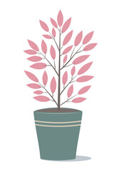 vector graphic illustration with tropical pink plant