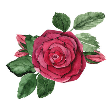 Bouquet Of Red Roses Watercolor Png