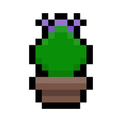 pixel cactus
