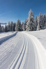 piste de ski de fond dans les alpes sous le soleil en hiver