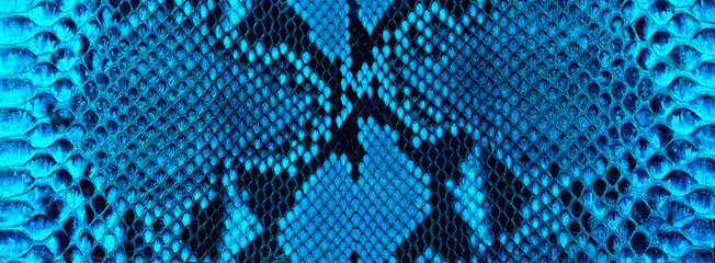 Texture of blue snake skin. Leather surface with python skin texture. - obrazy, fototapety, plakaty